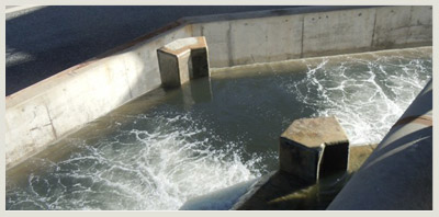 Revestimientos de resinas y flake en canaletas y sectores de hormigón en zona FGD, Termoeléctrica Santa María I